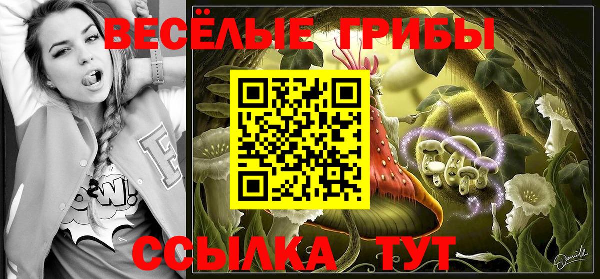 Галлюциногенные грибы Cubensis Дальнереченск