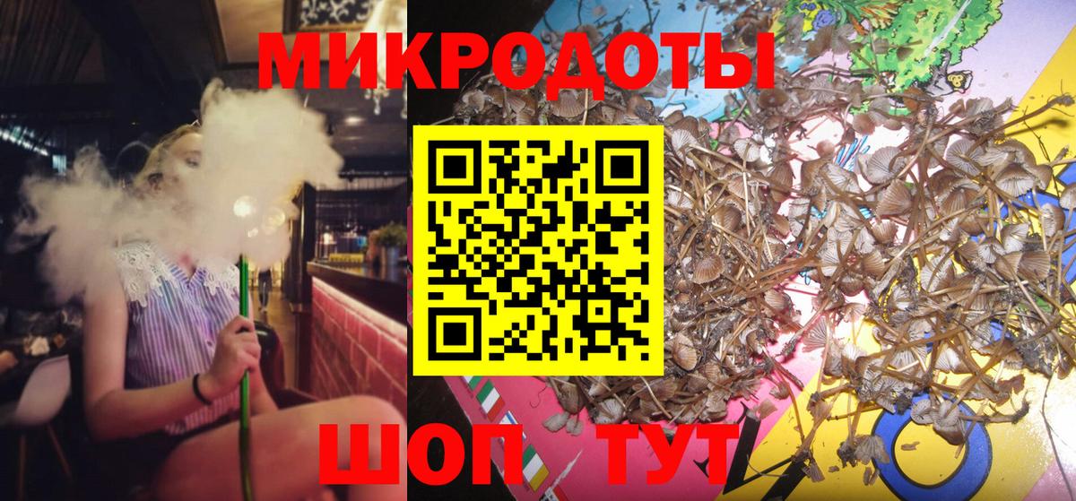 Галлюциногенные грибы Cubensis  купить наркотик  Псилоцибиновые грибы мицелий  Дальнереченск 