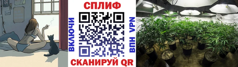 как найти закладки  Дальнереченск  Марихуана индика 